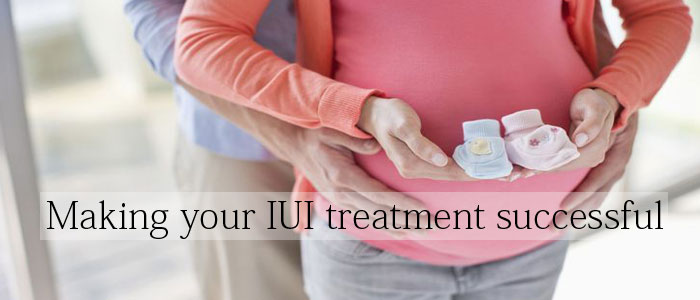 iui treatment for pregnancy