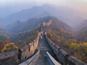 china surrogacy services