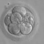 Egg donation in India
