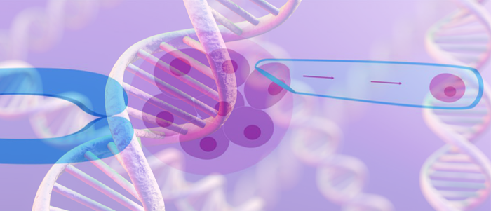 PGD treatment in India